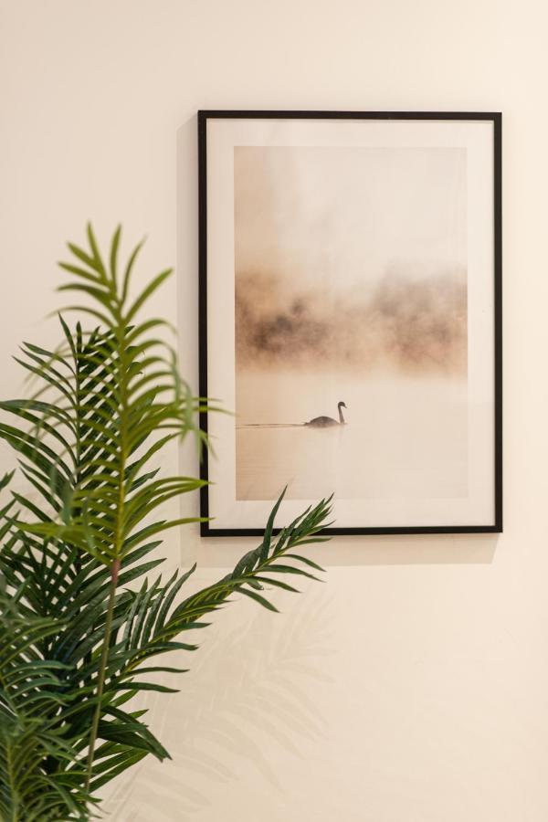 Luz - Appartement Hyper Centre Saint-Etienne エクステリア 写真